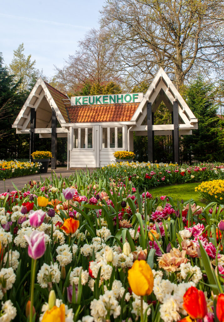 Keukenhof Gardens, Lisse Netherlands