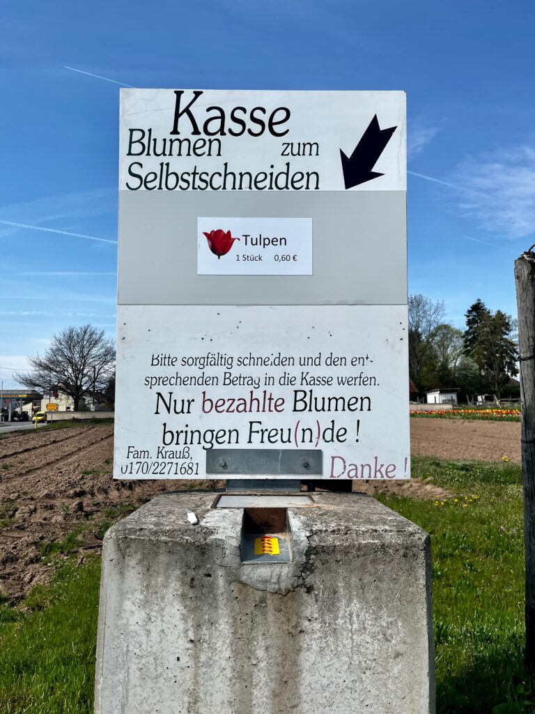 Picking flowers, cheap things to do in KMC