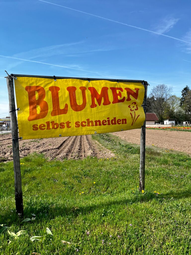 Picking flowers, cheap things to do in KMC