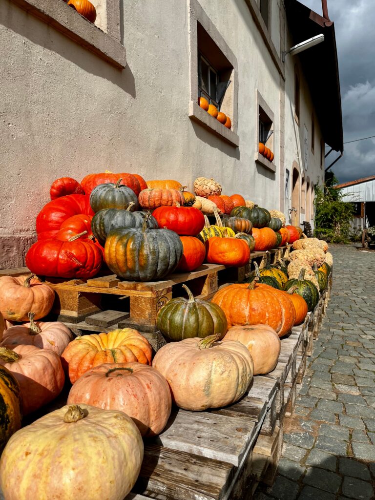 Fall Activities in Germany