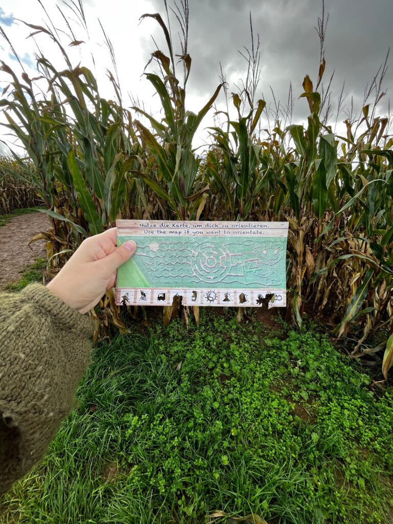 fall activities in Germany