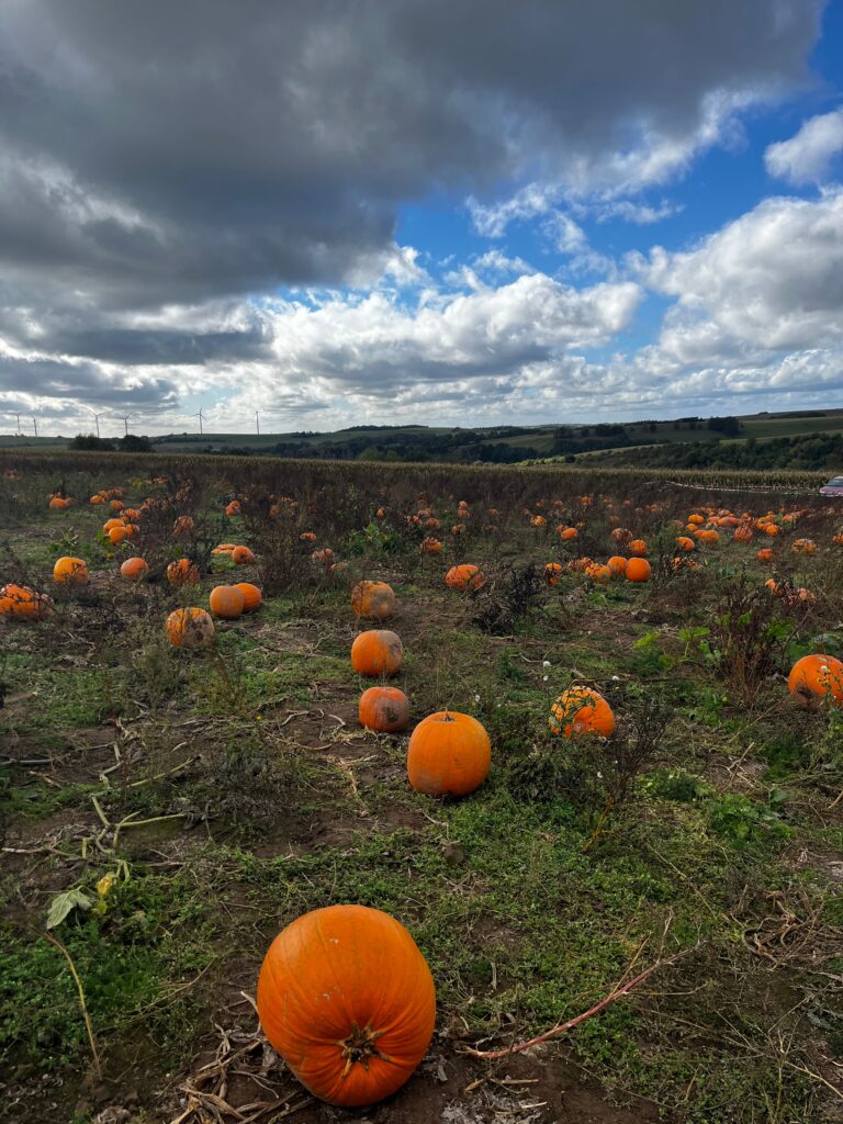fall activities in Germany