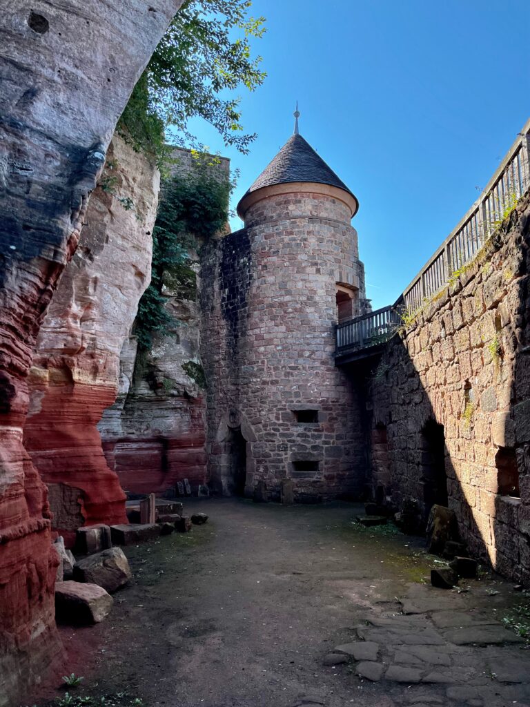 This image has an empty alt attribute; its file name is IMG_4392-768x1024.jpg