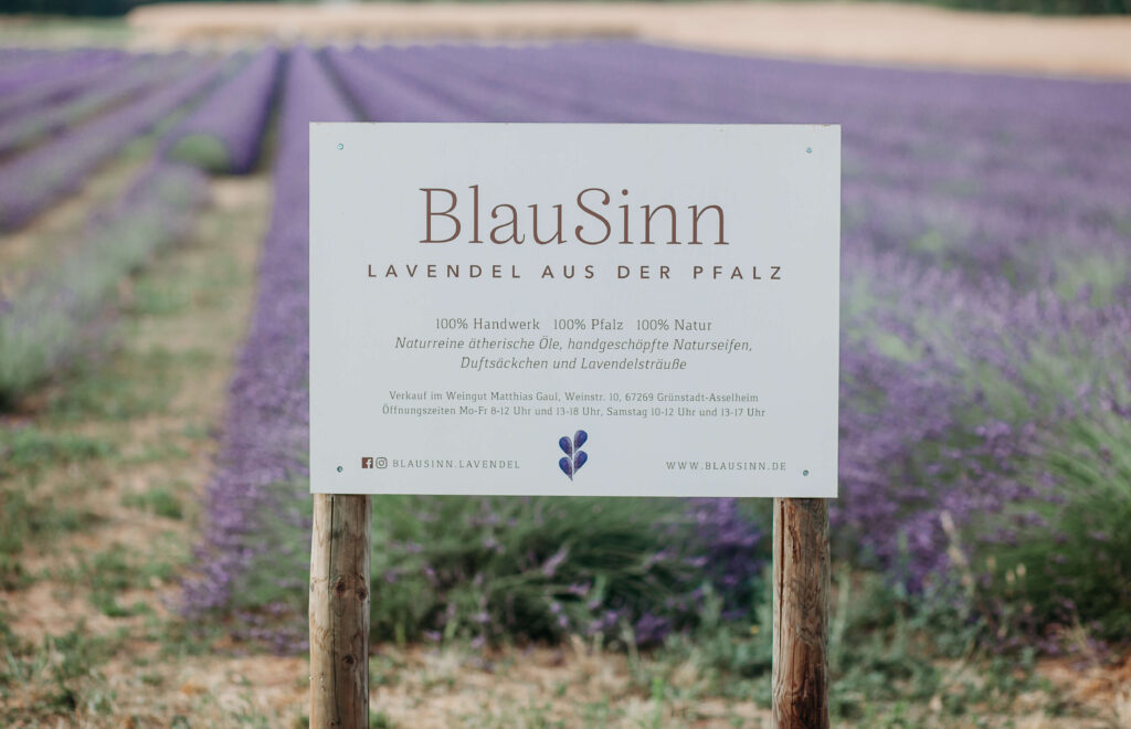 Lavender Fields in Germany