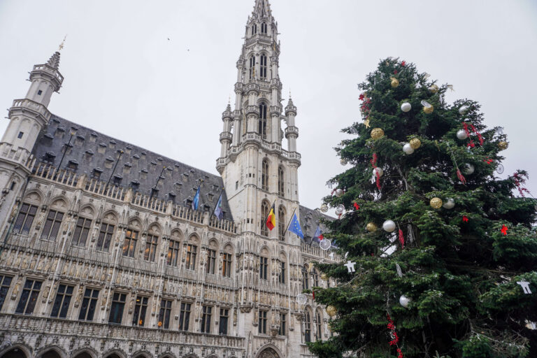 Ultimate Brussels Christmas Market Guide 2025